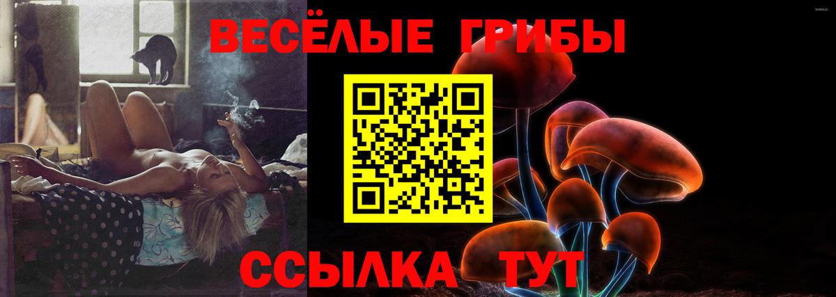 Псилоцибиновые грибы ЛСД Карталы